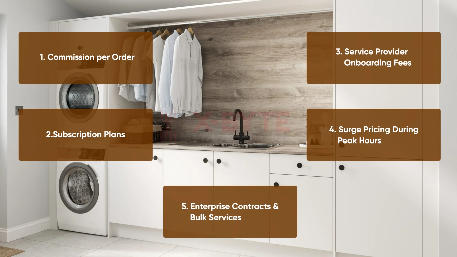 monetization-models-for-laundry-apps